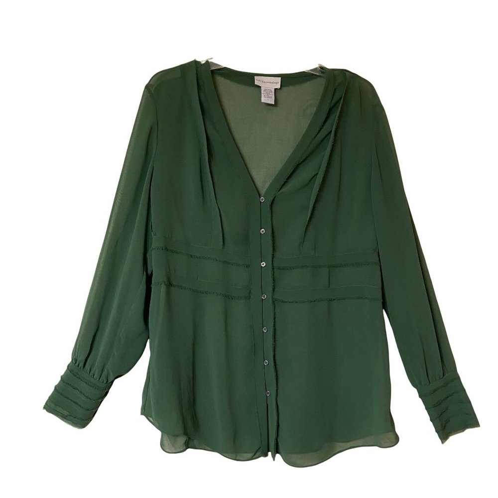 SOLD! 

Soft Surroundings Sheer Blouse Long Sleeve Button Front V-Neck